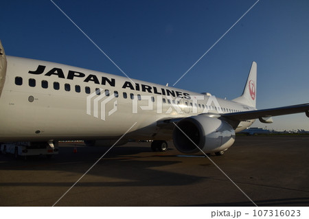 飛行機／東京都羽田空港 107316023