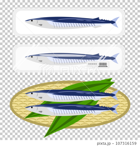新鮮なサンマがトレーとざるに乗っているイラスト 107316159