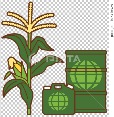 Corn and bioethanol in drums 107316529