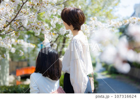 桜の下の親子 107316624