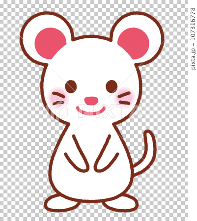 老鼠小白 107316778