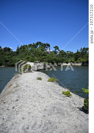 日本三景松島と観光名所馬の背 107317210