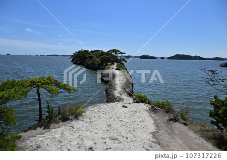 日本三景松島と観光名所馬の背 107317226