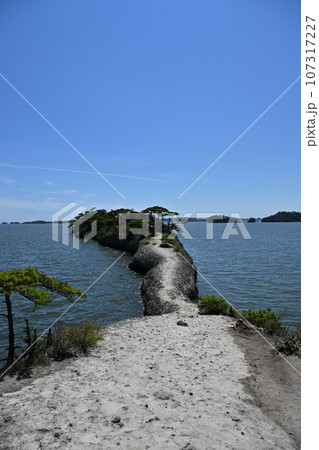 日本三景松島と観光名所馬の背 107317227