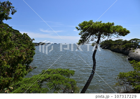 日本三景松島と観光名所馬の背 107317229