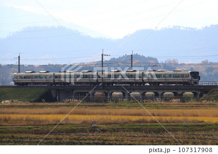 湖西線の北端を行く225系（新快速電車） 107317908
