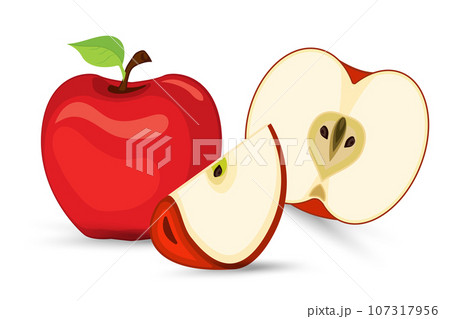 One red apple with a half cut apart and with one cut part of red fruity apple on isolated white background, healthy fruit concept, and Set of apples fruit illustration 107317956