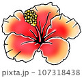 ハイビスカス 107318438