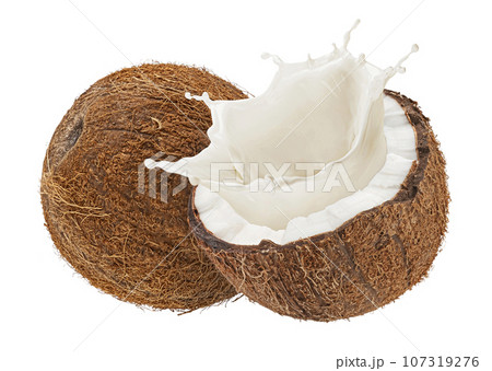 Coconut milk splash isolated on white background 107319276