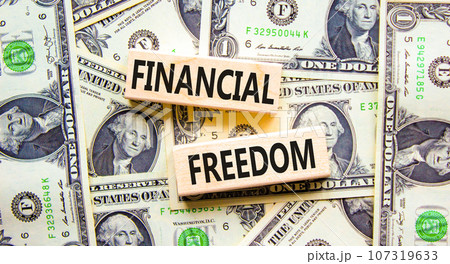 Financial freedom symbol. Concept words Financial freedom on beautiful wooden blocks. Dollar bills. Beautiful background from dollar bills. Business financial freedom concept. Copy space. 107319633