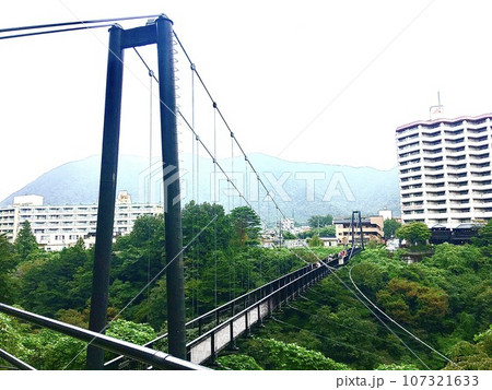 自然に囲まれた鬼怒楯岩大吊橋の写真素材 107321633