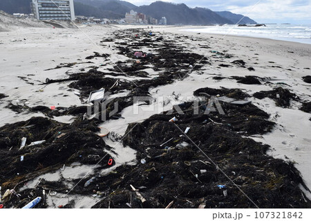 海辺の海藻とゴミ 海岸の漂着物 海辺の海藻とゴミ 海岸の漂着物 107321842
