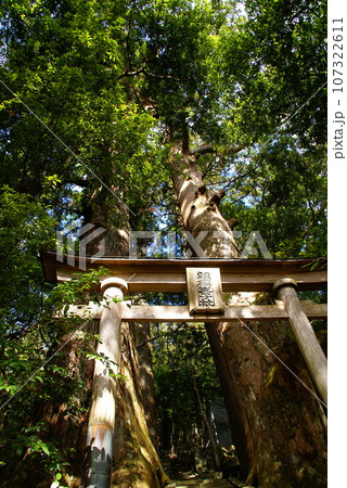 継桜王子社 継桜王子社 107322611