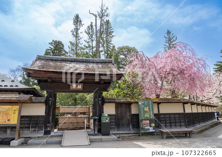 福島県会津若松市 桜咲く春の会津若松城内にある茶室麟閣の外観 福島県会津若松市 桜咲く春の会津若松城内にある茶室麟閣の外観 107322665
