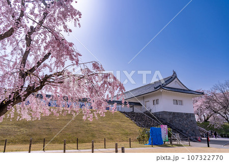 山形県霞城公園内の山形城址二ノ丸東大手門と桜 山形県霞城公園内の山形城址二ノ丸東大手門と桜 107322770