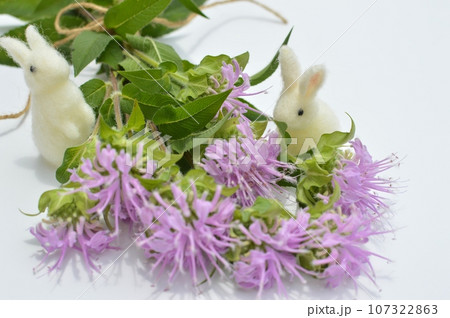 ピンク色のモナルダの花束と羊毛フェルトの白ウサギ ピンク色のモナルダの花束と羊毛フェルトの白ウサギ 107322863