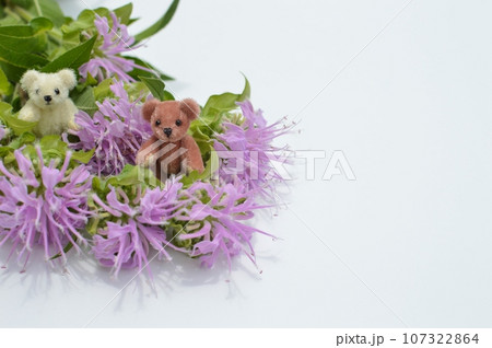 ピンク色のモナルダの花束と小さなテディベア  ピンク色のモナルダの花束と小さなテディベア  107322864