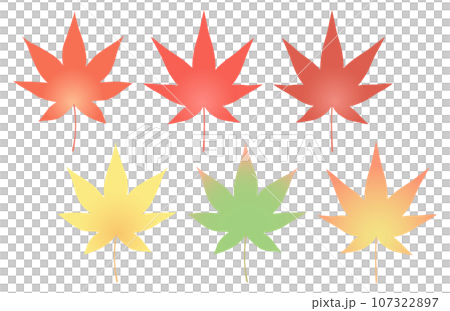 Maple leaf set 107322897