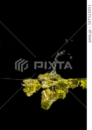 bright juicy fruits with splashes on black background. 107323051