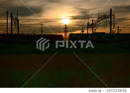 輝く夕景のなかで対抗する列車が交わる：東北本線、埼玉県久喜市 107323640