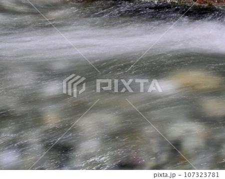 中津渓谷 107323781