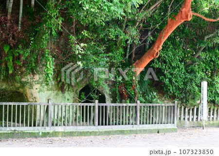 西郷隆盛の洞窟の景色 107323850