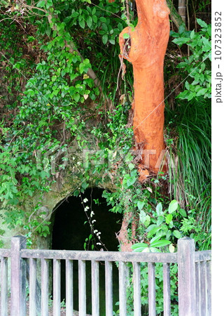 城山に眠る西郷隆盛洞窟 城山に眠る西郷隆盛洞窟 107323852