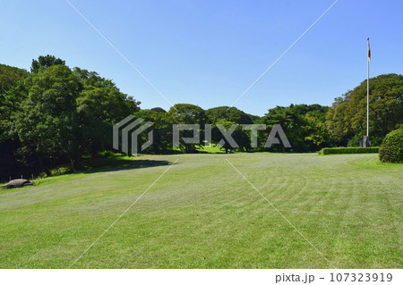 明治神宮　北池周辺の緑地 107323919