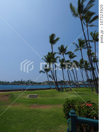 ハワイ島　カイルアコナ 107323920