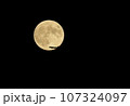 満月に浮かぶ飛行機 107324097