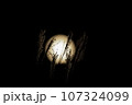 すすきと中秋の名月 107324099