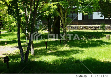 新緑の信濃追分宿の街並み　軽井沢追分 107324128