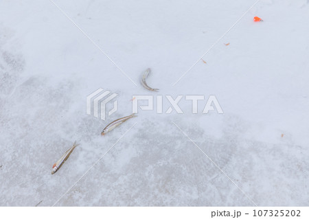 北海道_真冬の網走湖とワカサギ釣りの風景 107325202