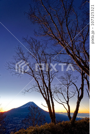 朝霧高原・雨ヶ岳から見る夜明けの富士山 107325321