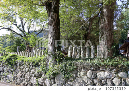 田舎の神社 107325359