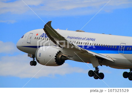 函館空港_B787 離陸機 函館空港_B787 離陸機 107325529