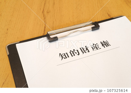 知的財産権　バインダー 107325614