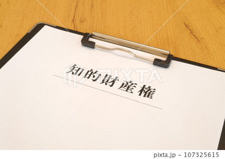 知的財産権　バインダー 107325615