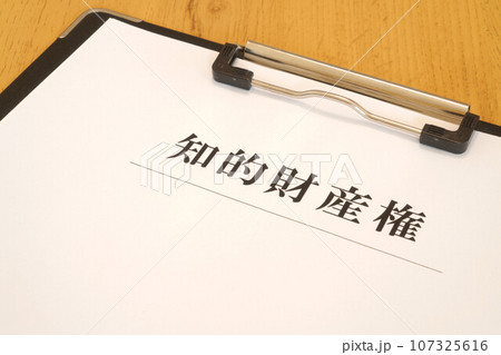 知的財産権 バインダー 知的財産権 バインダー 107325616