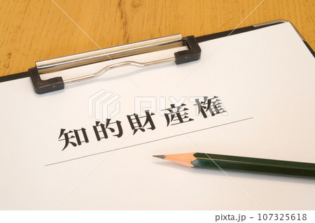 知的財産権 バインダー 知的財産権 バインダー 107325618