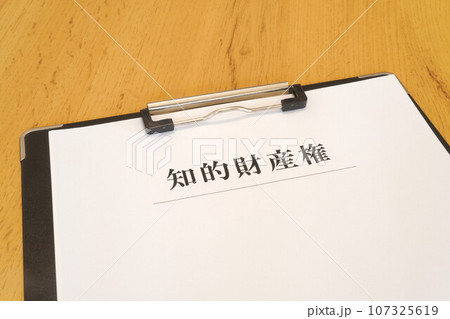 知的財産権 バインダー 知的財産権 バインダー 107325619