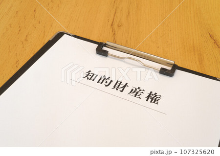 知的財産権　バインダー 107325620