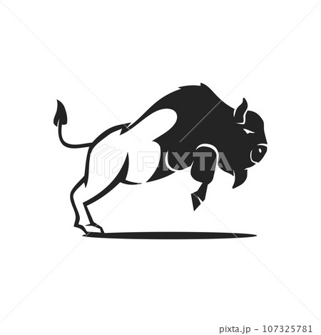Bison logo template Isolated. Brand Identity. Icon Abstract Vector graphic Bison logo template Isolated. Brand Identity. Icon Abstract Vector graphic 107325781