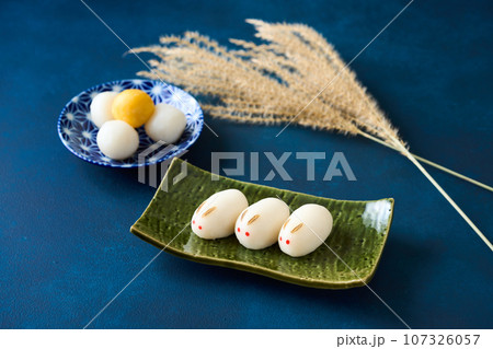 お月見うさぎ団子 お月見うさぎ団子 107326057