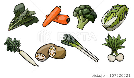 ポップな冬の野菜のイラスト素材 107326321