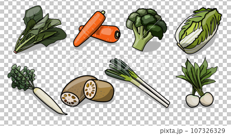 流行冬季蔬菜插畫素材 107326329