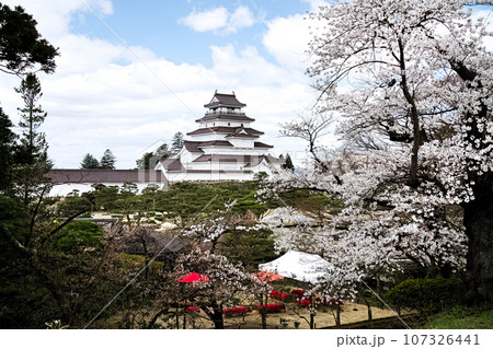 満開の桜と福島県会津若松鶴ヶ城 107326441