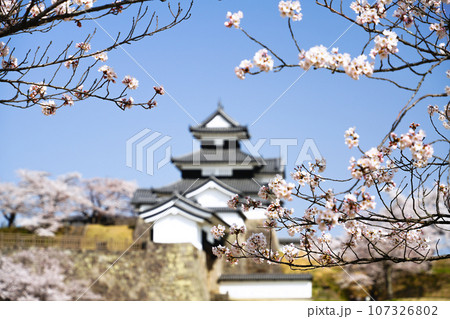 満開の桜と福島県白河市の小峰城 満開の桜と福島県白河市の小峰城 107326802
