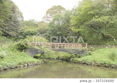 神奈川県県立公園四季の森（秋・10月） 107326880