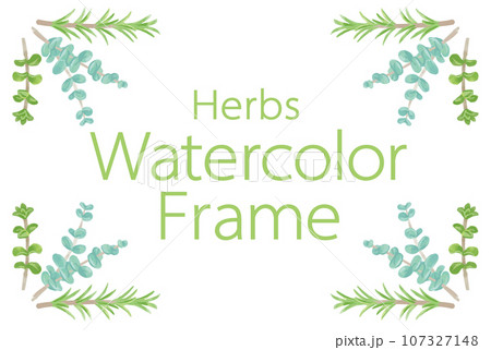 アロマに使われるハーブ・植物のイラスト・フレーム。ベクター素材 107327148